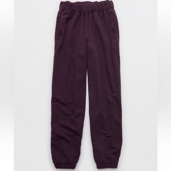 Aerie Women's Purple Jet Setter Jogger Size Medium, NWT - Picture 6 of 8